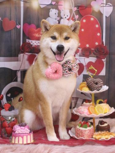 20250228マロンちゃん